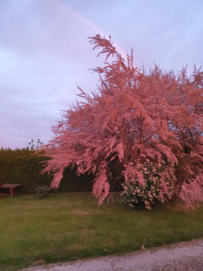 Au Petit Paradis
